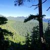 The trees leak a peek of the distant peaks. Being on top is worth the views!