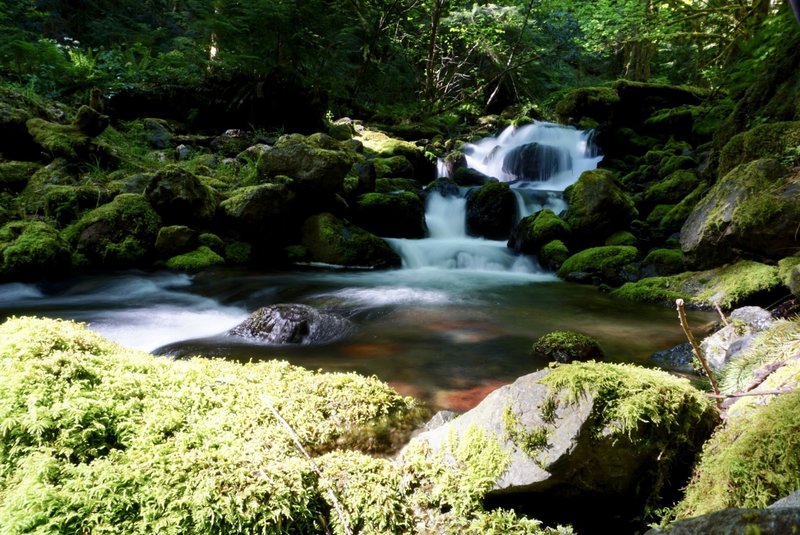 Copper Creek is phenomenally beautiful.