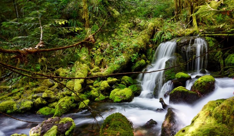 The continuous falls of Copper Creek are beautiful all year.