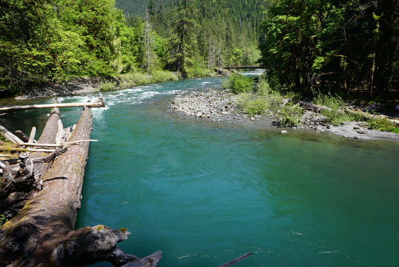 The serene North Fork Skokomish River trickles right past the campground.