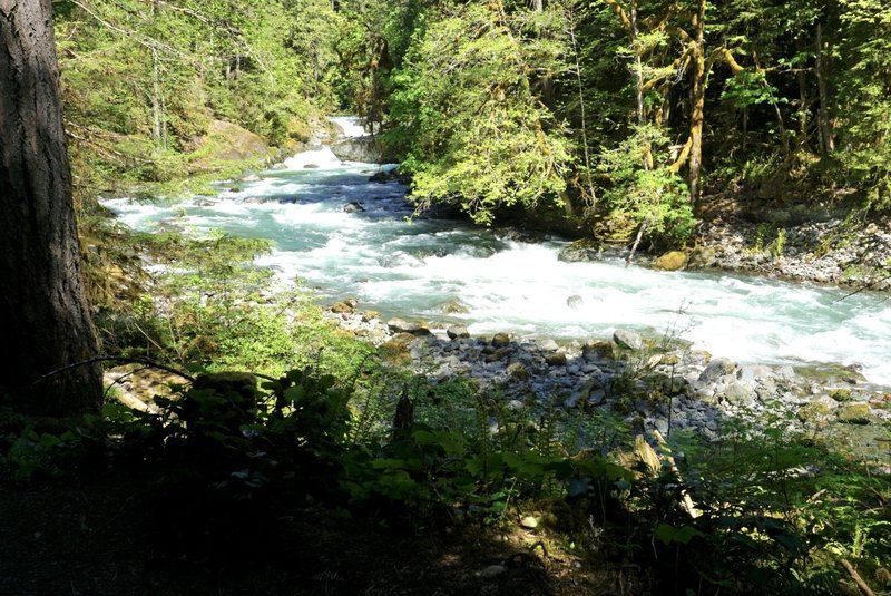 Take a forceful yet cooling and relaxing stroll along the North Fork Skokomish River.