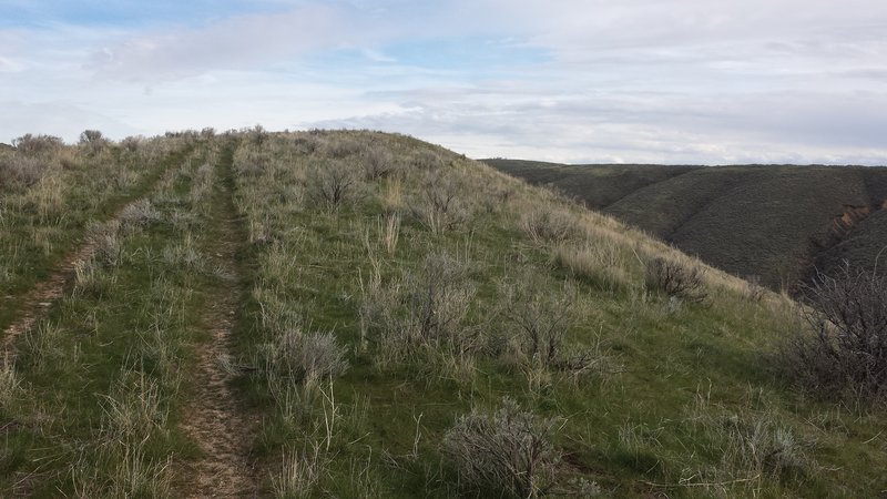 Enjoy the ridgeline view looking south away from the reservoir.