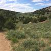 The Johnny Draw trail winds through sagebrush and juniper on the eastern side of the loop.