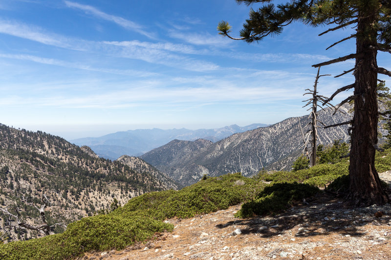 Looking west over Ice House Canyon before descending from Timber Mountain