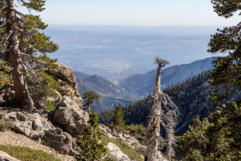 Claremont and the larger LA area from the Baldy Bowl Trail.