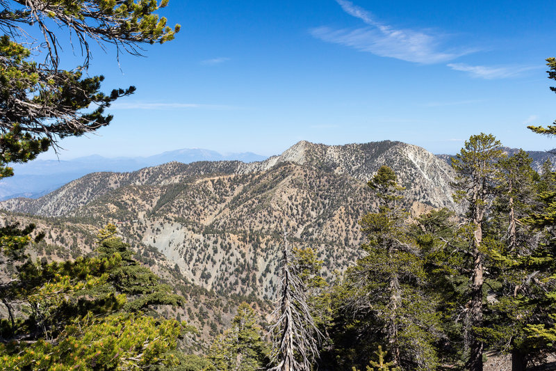 Telegraph Peak from the Baldy Bowl Trail.