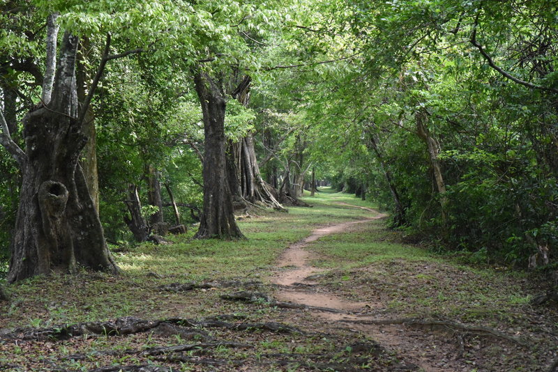 Continuing through the west side of the Wall Trail.