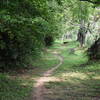 The north side of the Wall Trail narrows into a ribbon of a path in a wide corridor.