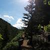 As it continues up into the canyon, the trail narrows and begins to ascend more steeply.