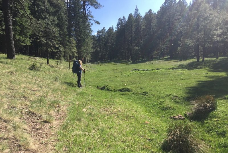 Taking in the views of the meadow from the Barbershop Trail.