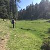 Taking in the views of the meadow from the Barbershop Trail.