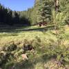 This open meadow is a nice spot to look around and catch your breath.