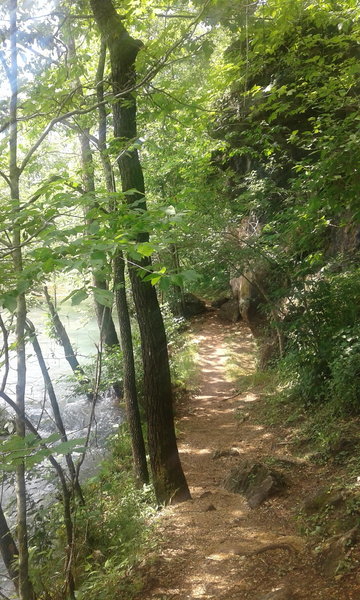 The trail follows along Spring Branch.