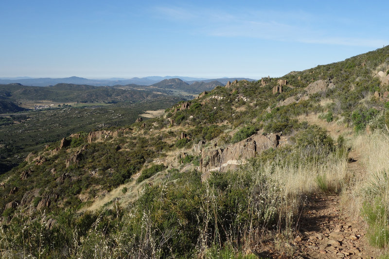 The Pacific Crest Trail is still verdant in June.