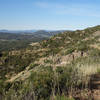 The Pacific Crest Trail is still verdant in June.