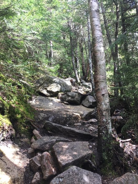 A rocky section of the Hi-Cannon Trail will make you work for the views up above.