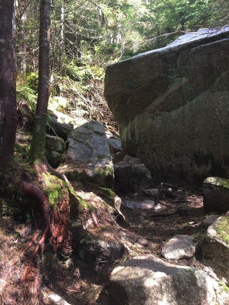 Rock continues to be a major factor on the Hi-Cannon Trail.