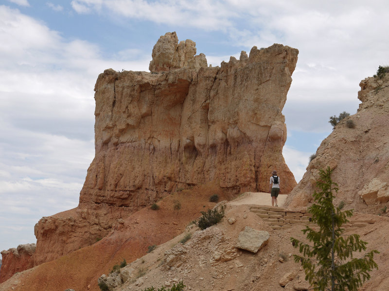 The rock fins on the Peekaboo loop tower over visitors.