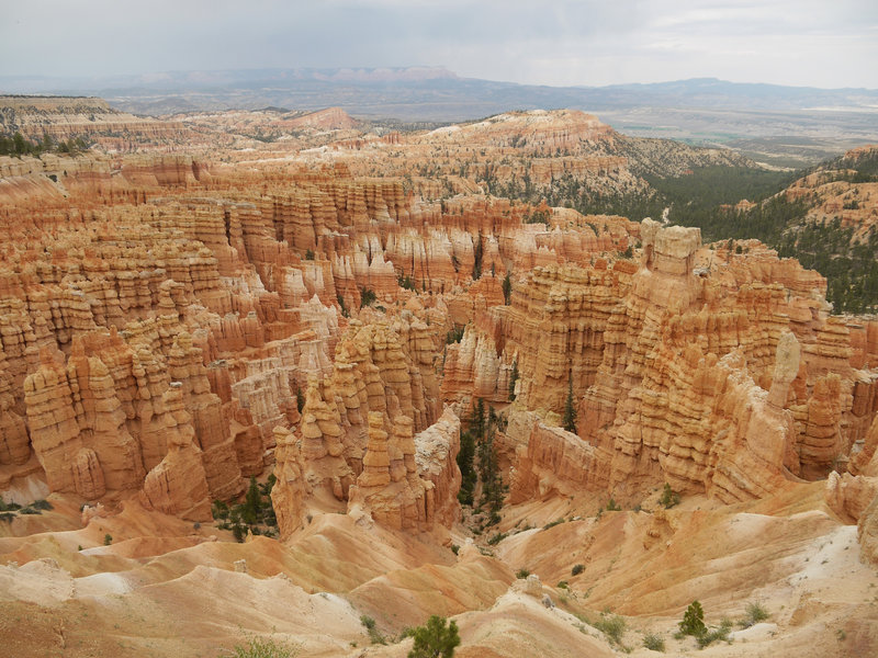 Hoodoos as far as the eye can see at Bryce Canyon.