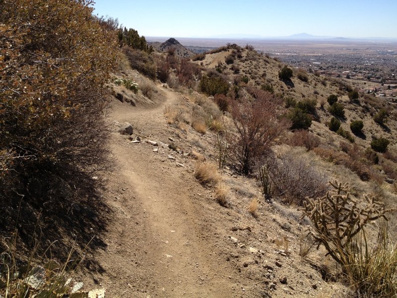 This narrow section of the Lower Foothills Trail 365 wraps around the hillside overlooking the city.