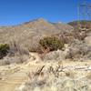 A wooden bridge over an arroyo on the Lower Foothills Trail 365.