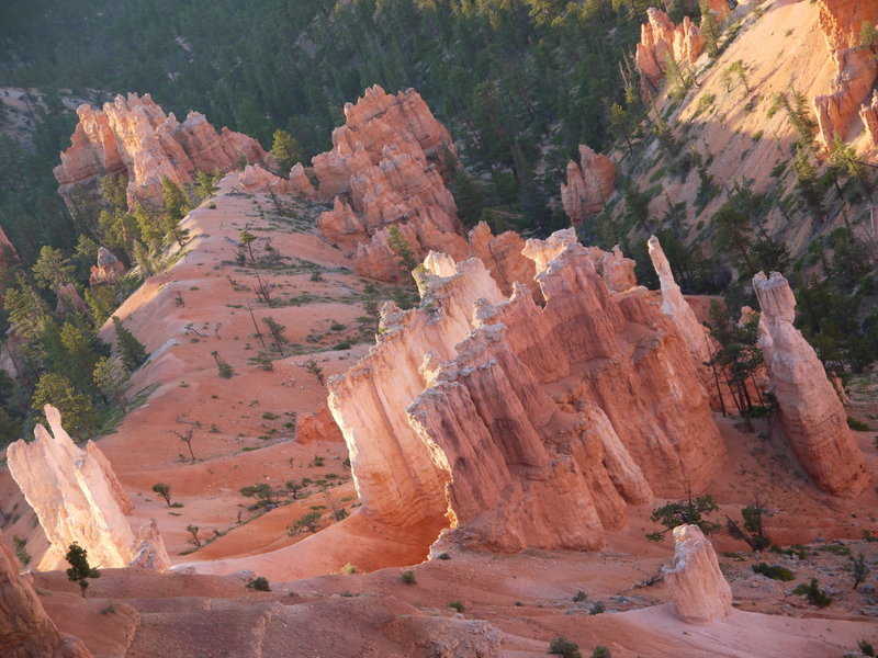 Bryce Canyon rock fins glowing in early morning sunlight.