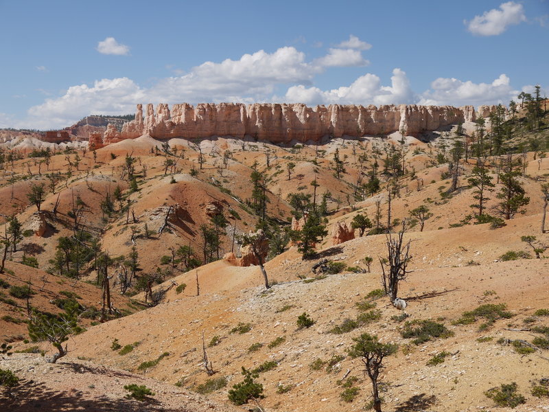 Rock formation near the Fairyland loop at Bryce Canyon National Park.