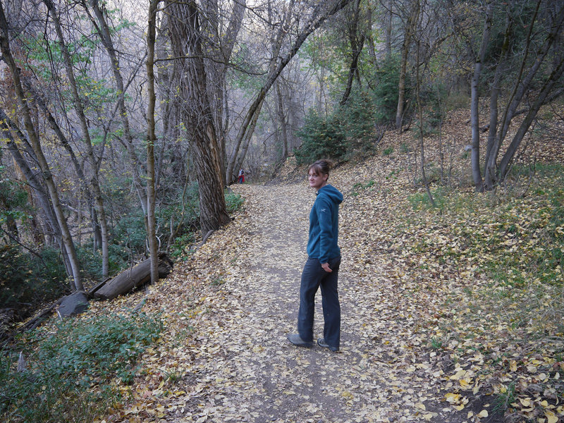 Heading up the Mueller Park trail in late autumn.