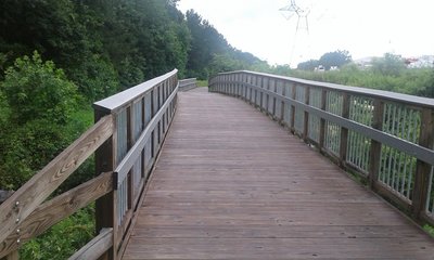 This is the Duck Pond Trail's first boardwalk that looks to East Lyon Station Road.