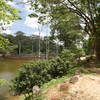 Approaching the South Gate on the Angkor Thom Wall Trail.