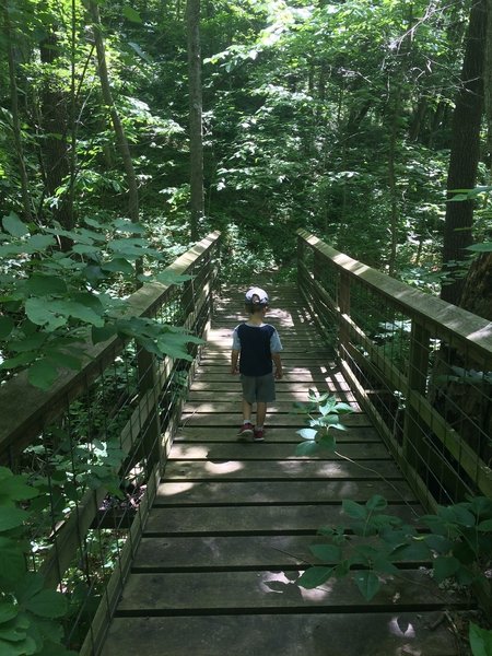 A shaded bridge crossing on Loop A.