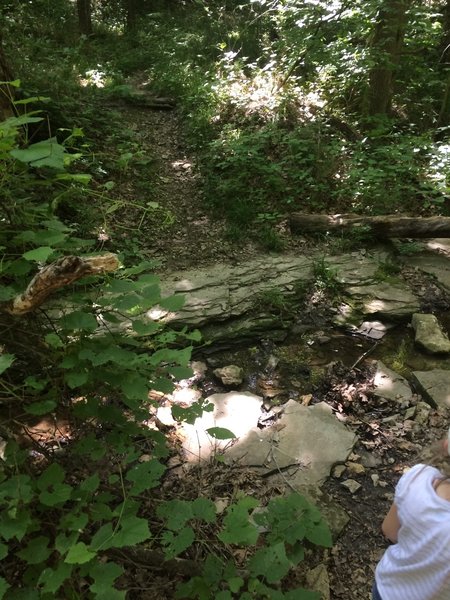 A small stream along the side of the trail.