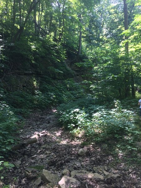 The stream bed near Loop A.