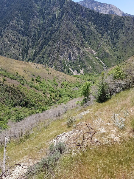 Take in the view looking down into Rattlesnake Gulch from the Pipeline Trail.