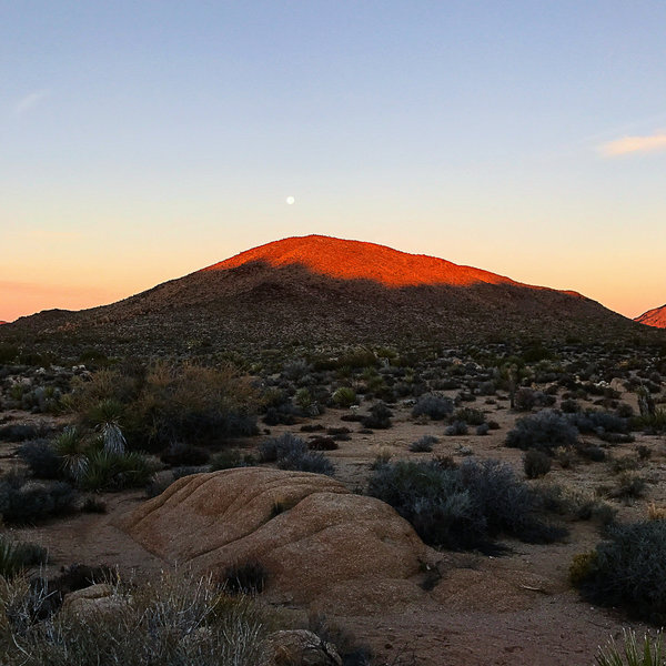 Moon setting near Desert Queen.