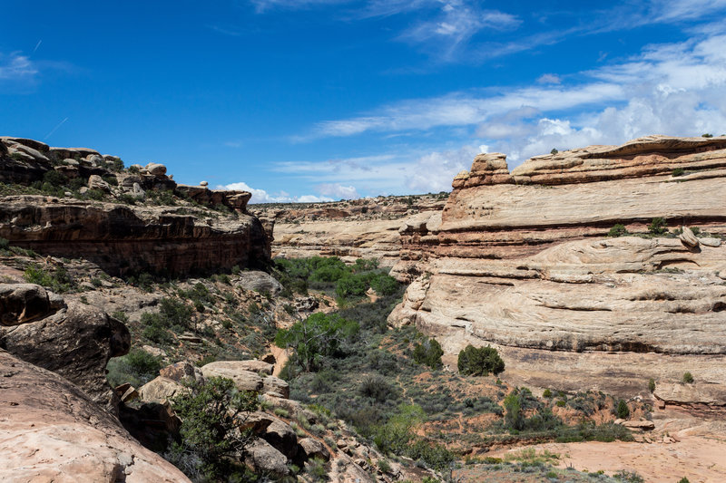 Looking downstream on Grand Gulch.