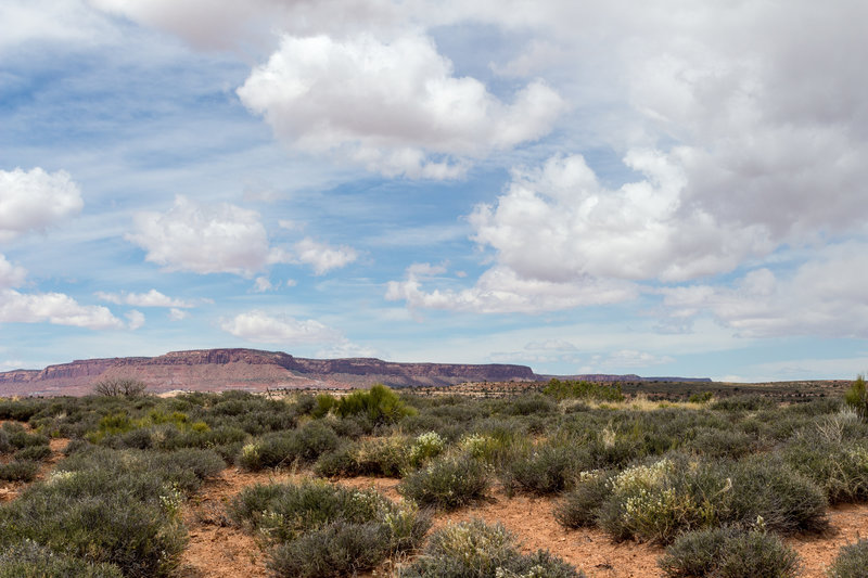 View north across the Cedar Mesa Plateau towards Natural Bridges National Monument.