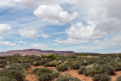 View north across the Cedar Mesa Plateau towards Natural Bridges National Monument.