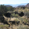 Volcanic rock on the Lava Flow trail at Snow Canyon State Park.