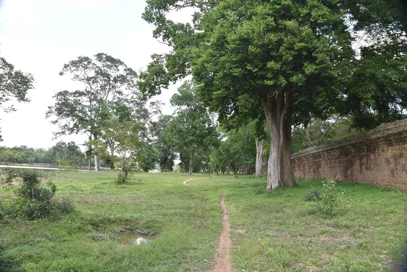 Along the north side of the Angkor Wat Wall Trail.