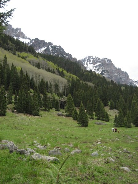 Near the beginning of the Fall Creek Trail, the views are already gorgeous.