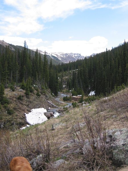 Looking up the valley and the Little Cimaron Creek.