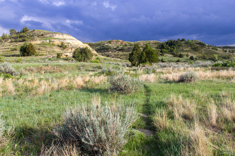 Rolling grasslands as a storm lurks in the distance