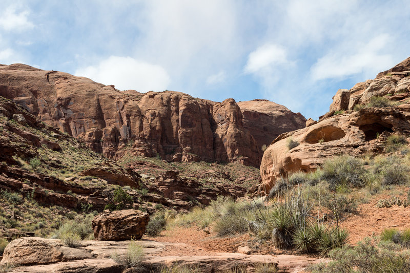 Hog Canyon above the alcove.