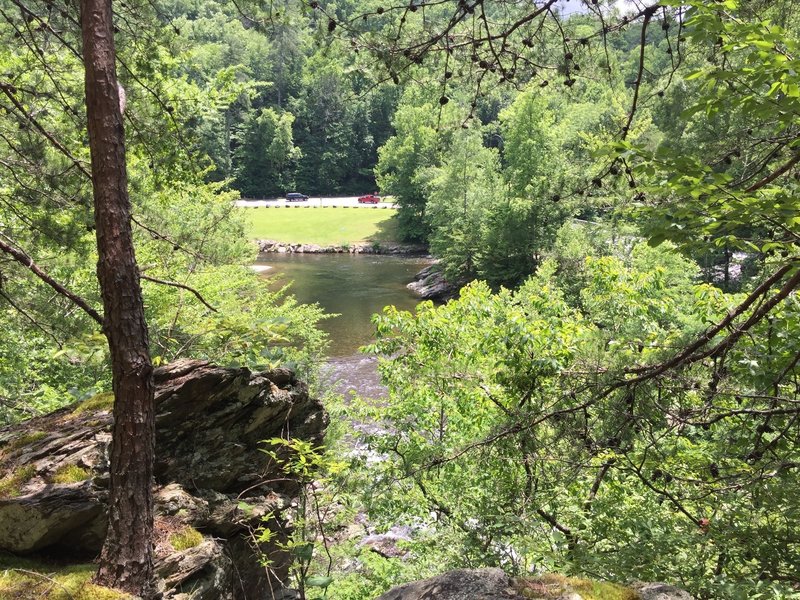 View of the Townsend "Y" near the end of the trail. Keep in mind that unless you return to the trailhead, you must cross the river.