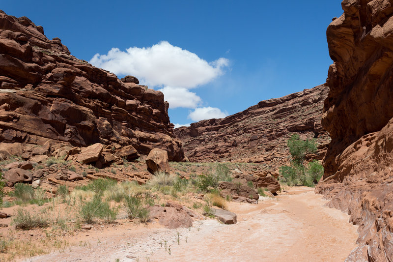 The dried up wash of Butler Canyon.