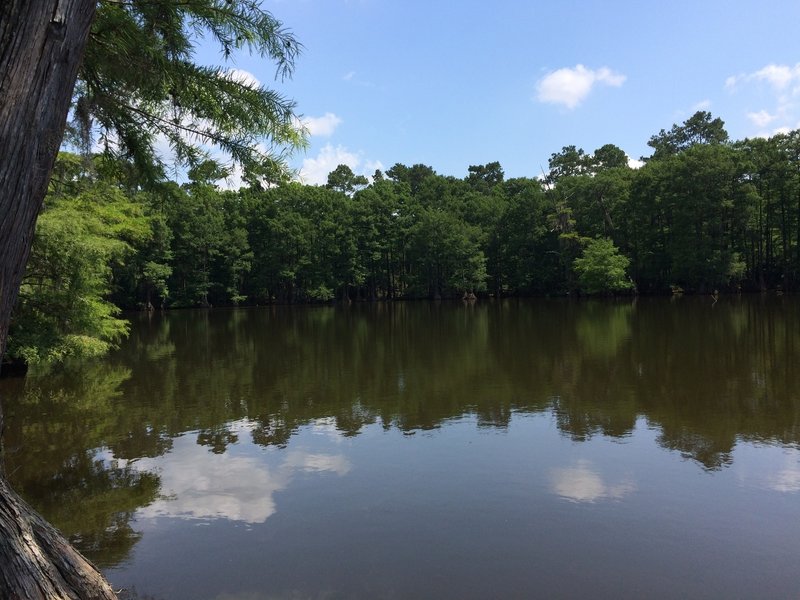 Isabell Lake is located off of 5 Mile Road just after the end of the America-Trail.