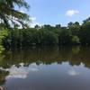 Isabell Lake is located off of 5 Mile Road just after the end of the America-Trail.