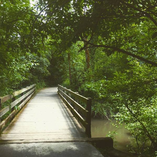 A lovely bridge over Rock Creek.