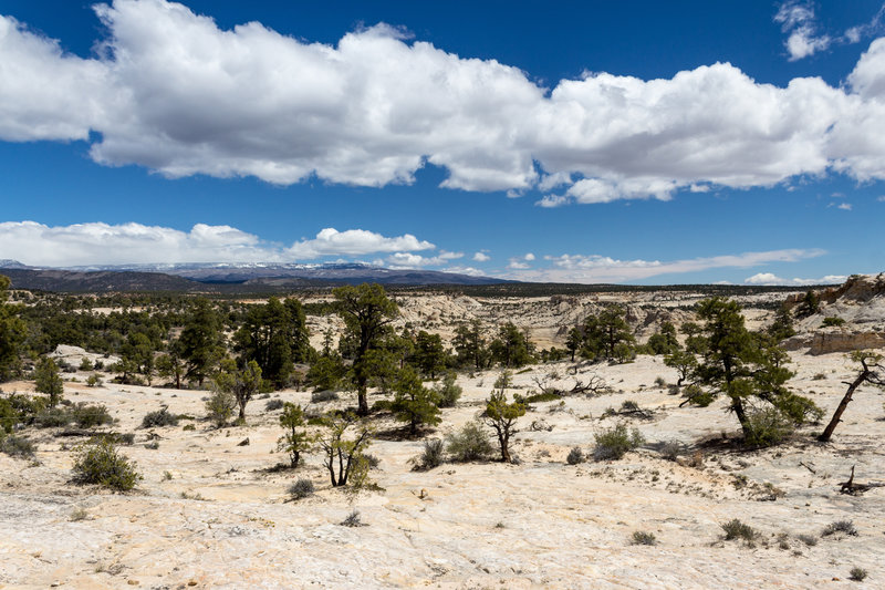 View from atop Slickrock Saddle Bench.